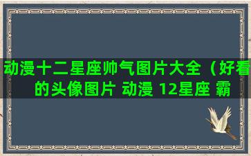 动漫十二星座帅气图片大全（好看的头像图片 动漫 12星座 霸气男）